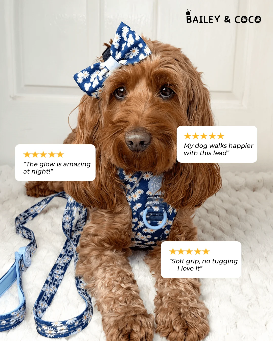 Bailey and Coco pet accessories static ad - Bailey and Coco campaign variant 2 - Meta ad by StaticMint