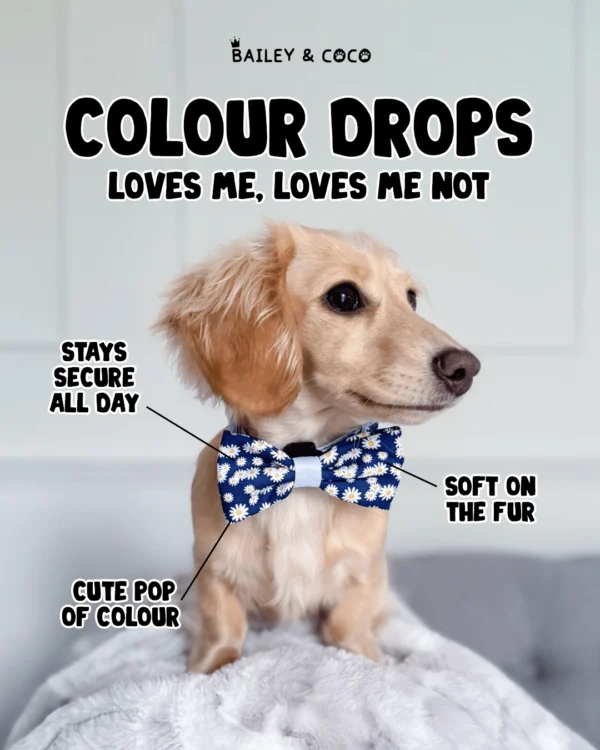 Bailey and Coco pet accessories static ad - colour drops loves me loves me not dog wearing daisy bow tie stays secure all day soft on fur cute pop of colour - Meta ad by StaticMint